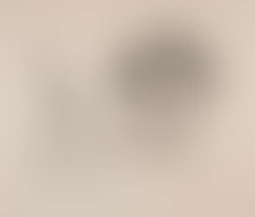Album 13 (preview)