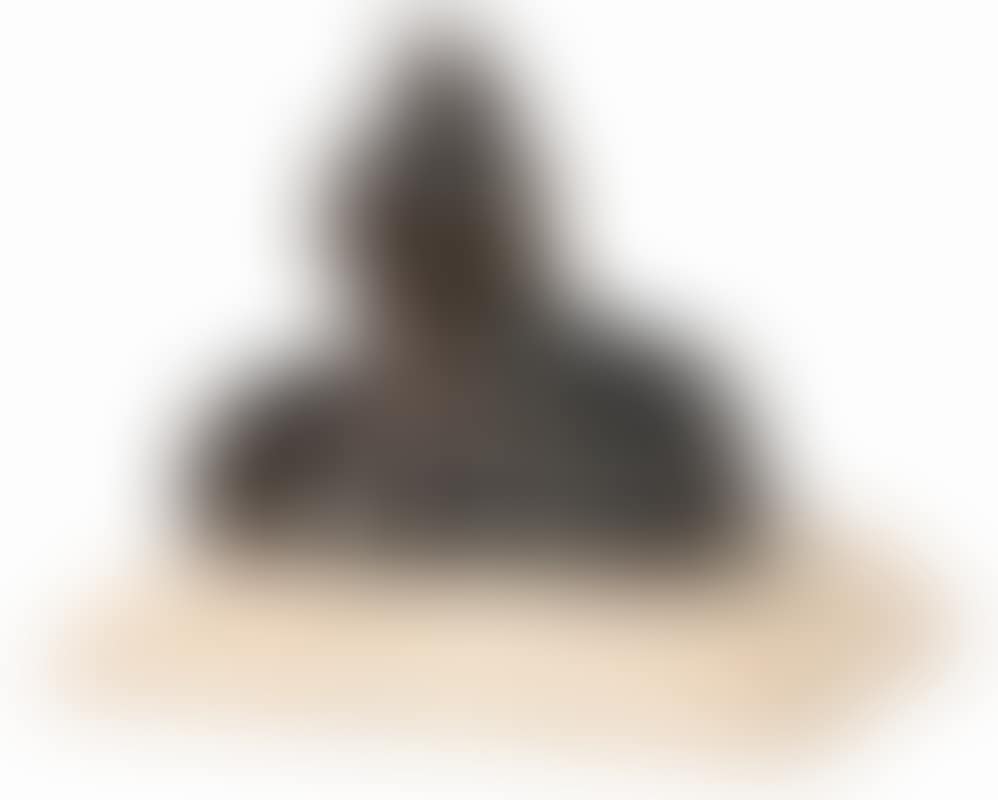 Bust of a Bearded Man (preview)
