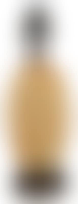Ronces vase (preview)
