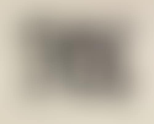 Album 13 (preview)