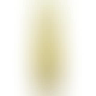Cameo Glass Vase (preview)