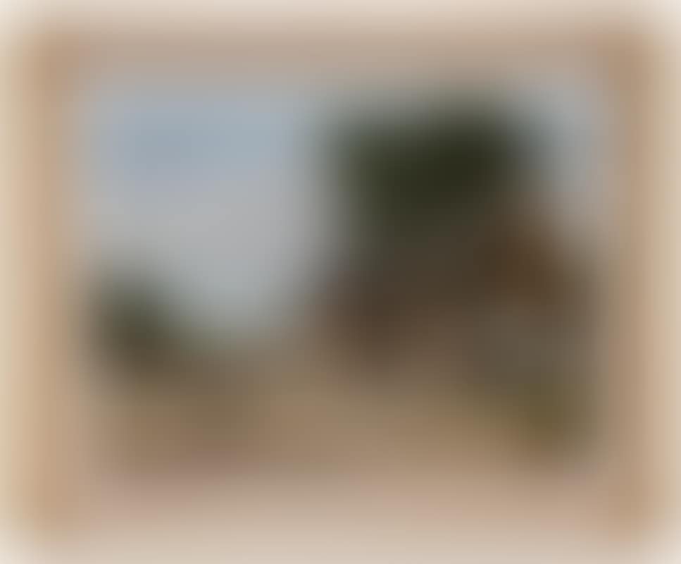 Busy Cabin Scene (preview)