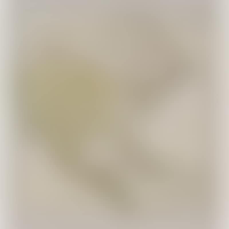 North America (preview)
