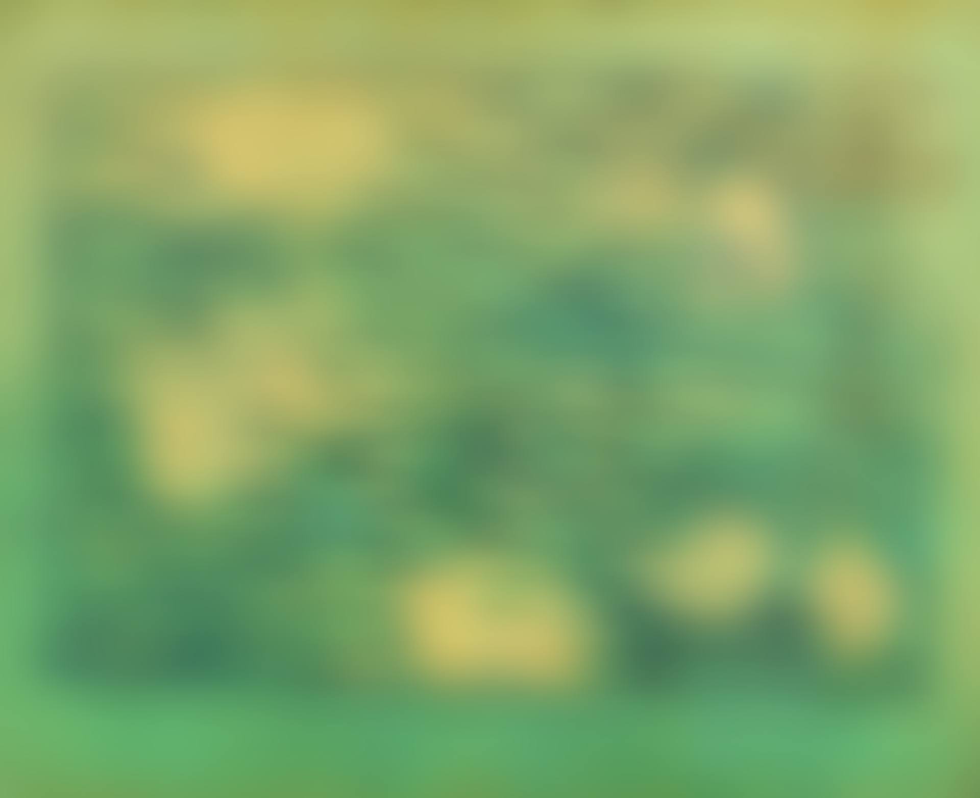 Coquillage mer verte (preview)