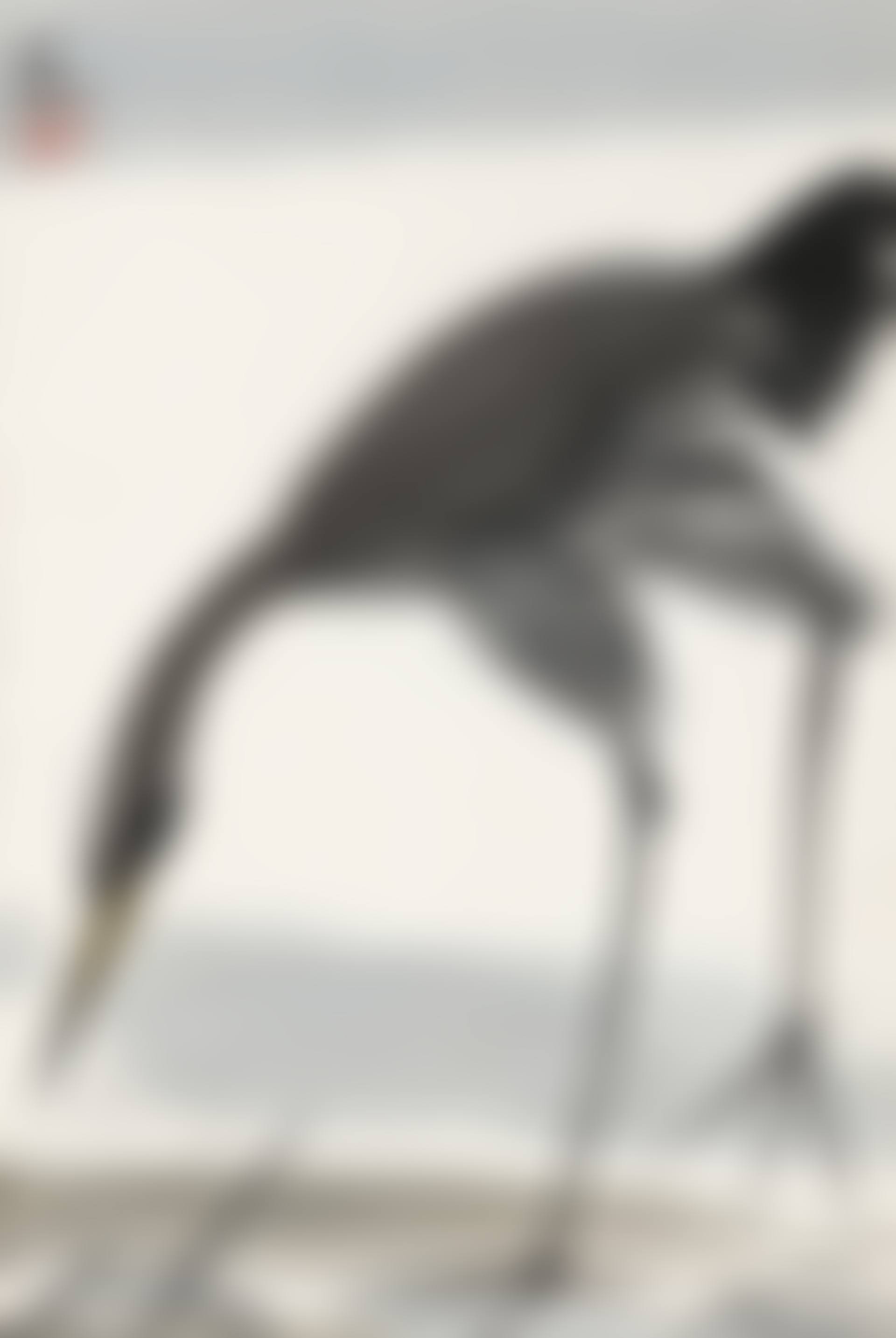 EGRET (preview)