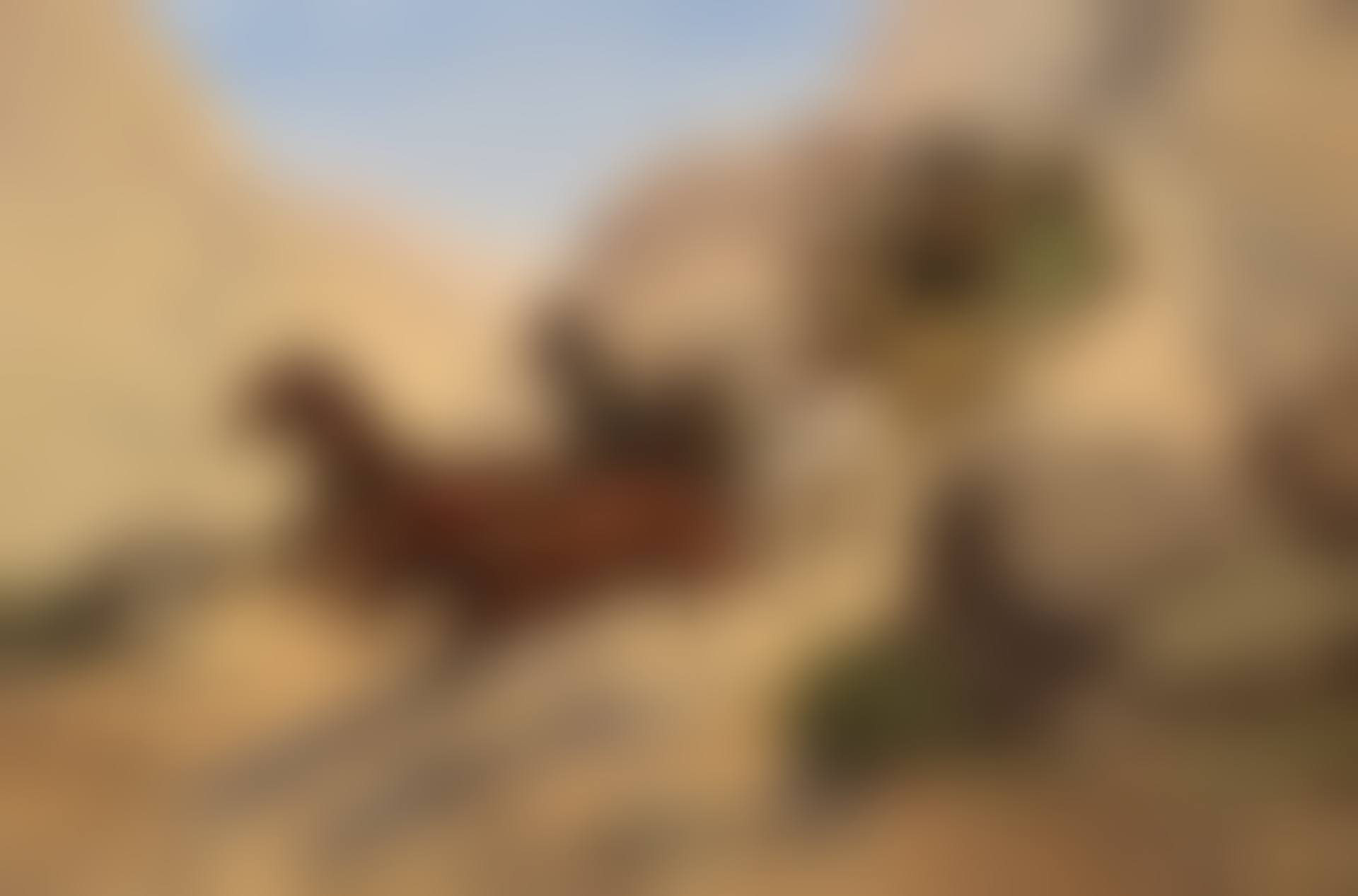 Attack on the Stagecoach (preview)