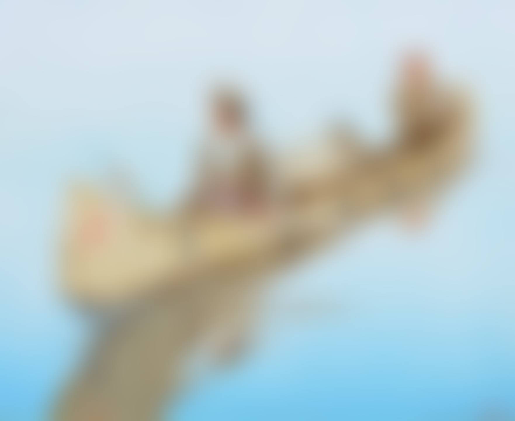 Trappers (preview)