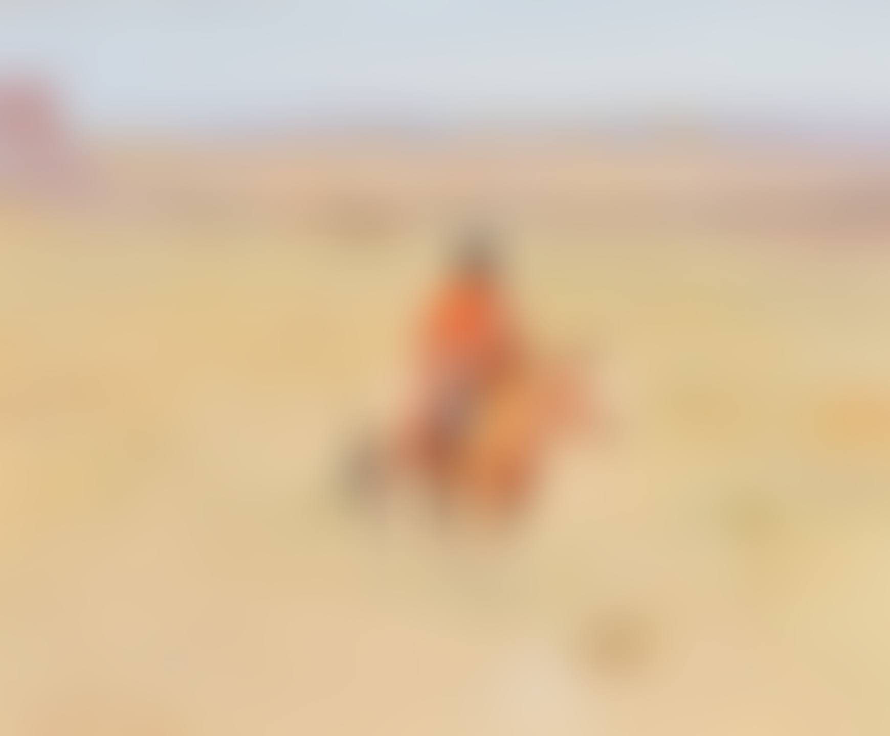 Desert Denizens (preview)