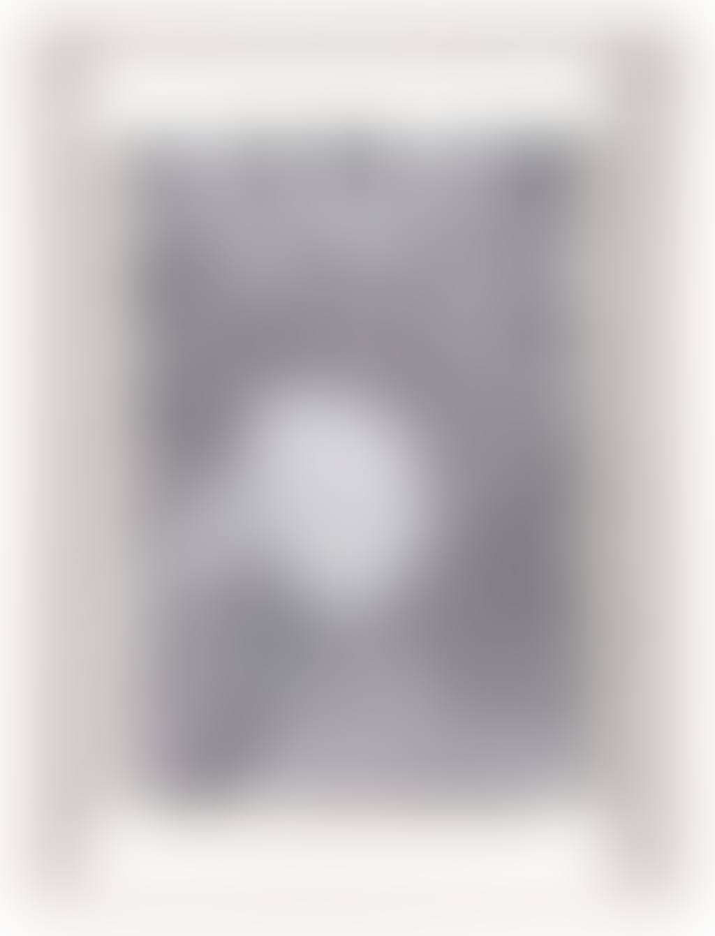 Flux 2 (preview)