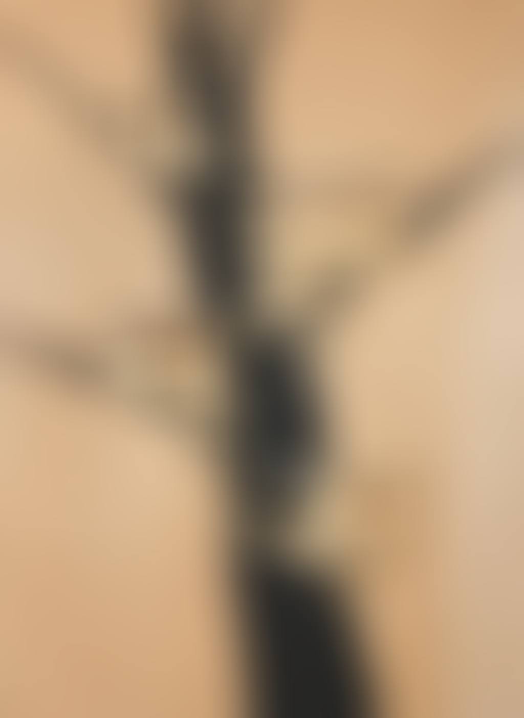 Tree hut plan, Group 5 (preview)