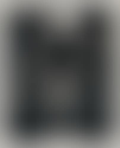 Survivor (preview)