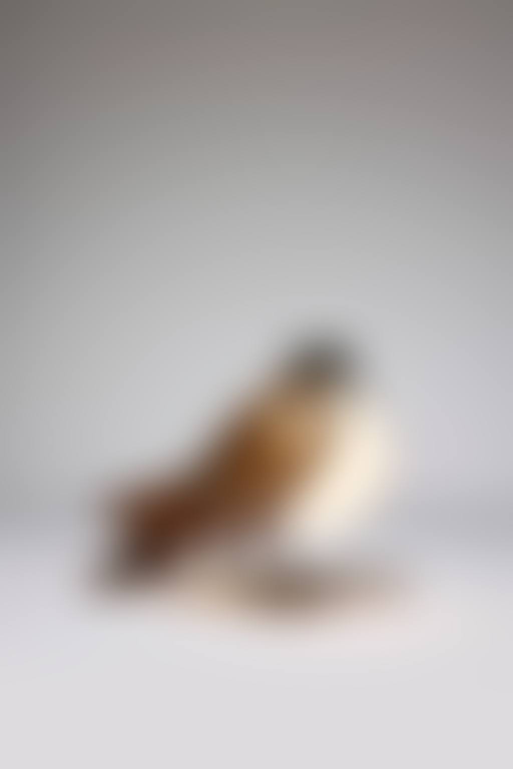 Lampe de table Pigeon (preview)