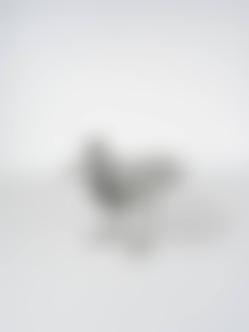 Table Oiseau d"argent (preview)