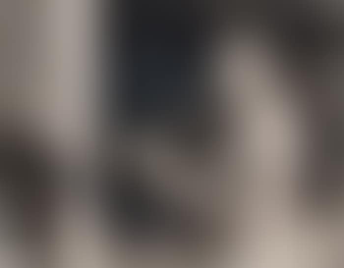 HIS FAVORITE INSTRUMENT ALBERT EINSTEIN (preview)