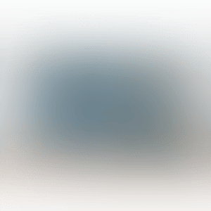 Catalogue Raisonné (preview)