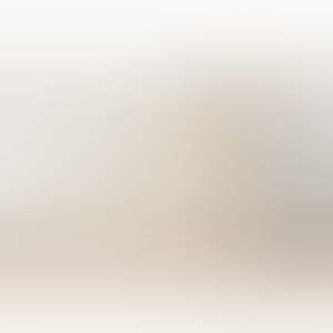 Catalogue Raisonné (preview)