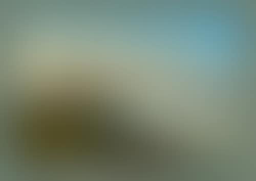 Le Château de Gottlieben (preview)