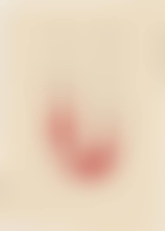 “D. d. Dannebrog” (preview)