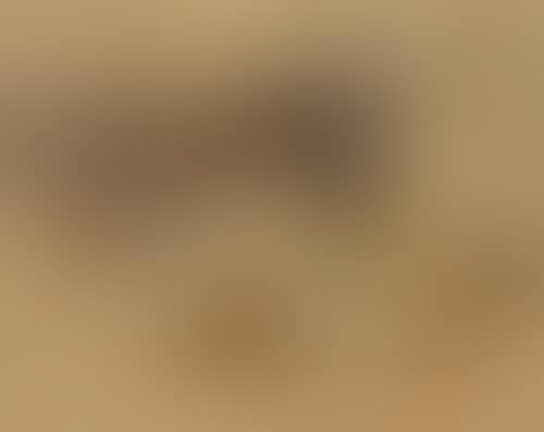 Study of donkey and goats. (preview)
