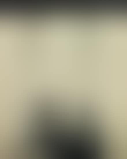 Untitled (portrait of a socialite) (preview)
