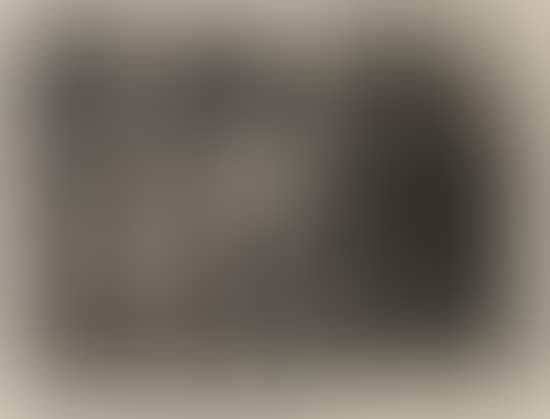 Campesinos (preview)