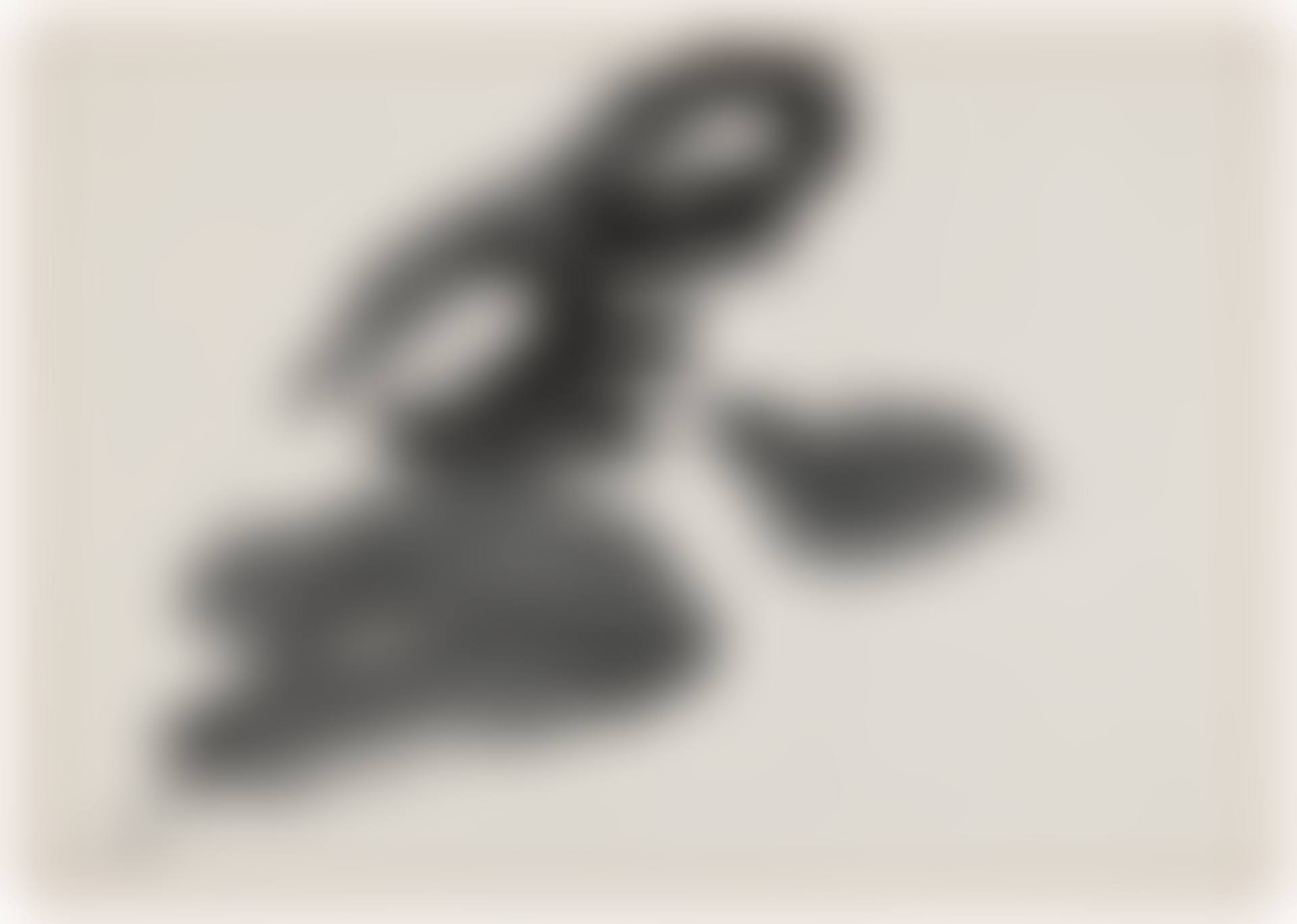 Shoku (To belong to, to pay attention to) (preview)