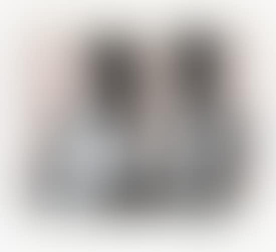Gossip (preview)