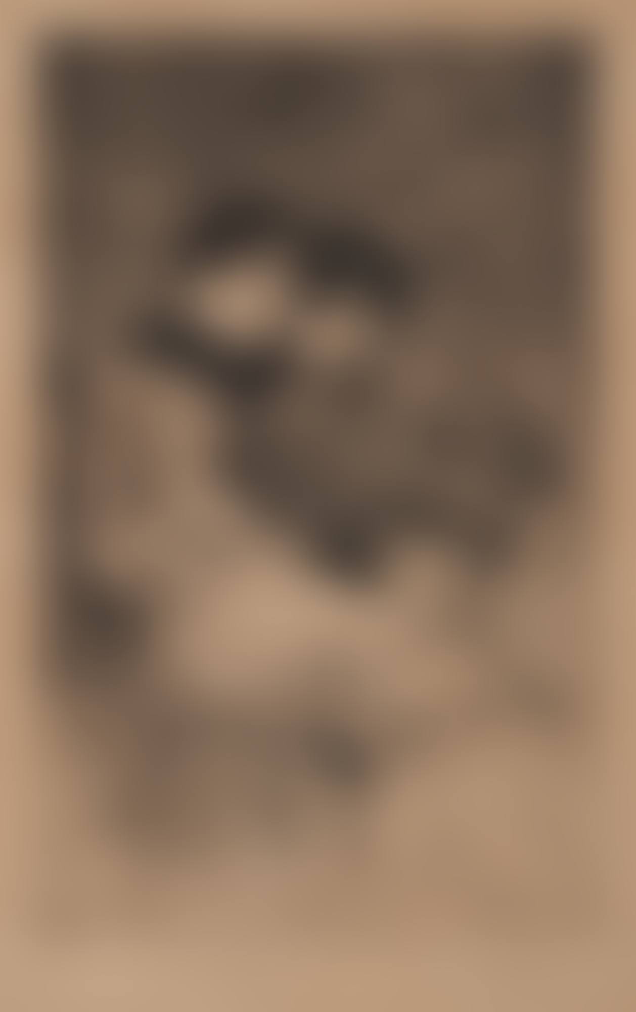 "Kusinerna" (preview)