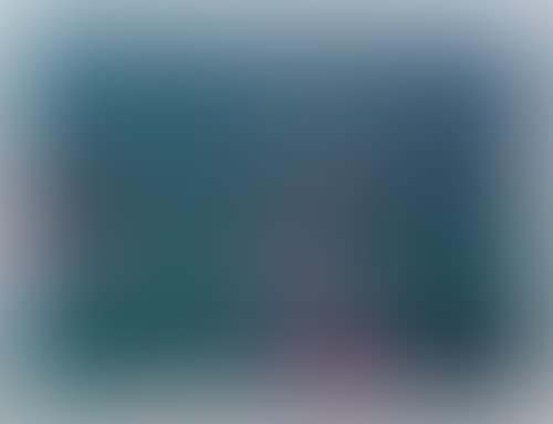 Surrounded Islands, Biscayne Bay, Greater Miami, Florida, 1980-83 (preview)