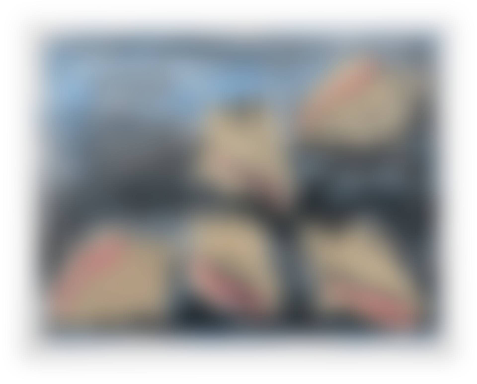 Five Shells (preview)