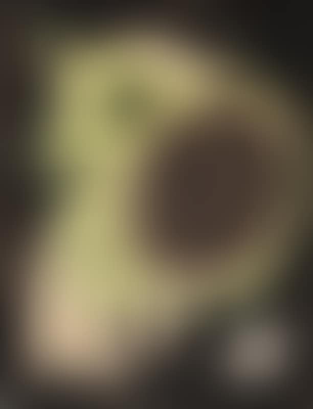 Untitled (preview)