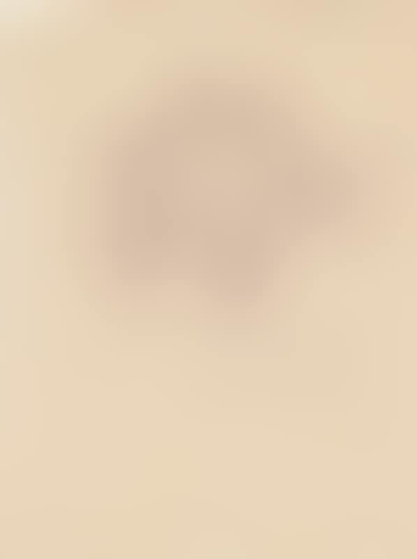 Draft for lithograph (preview)