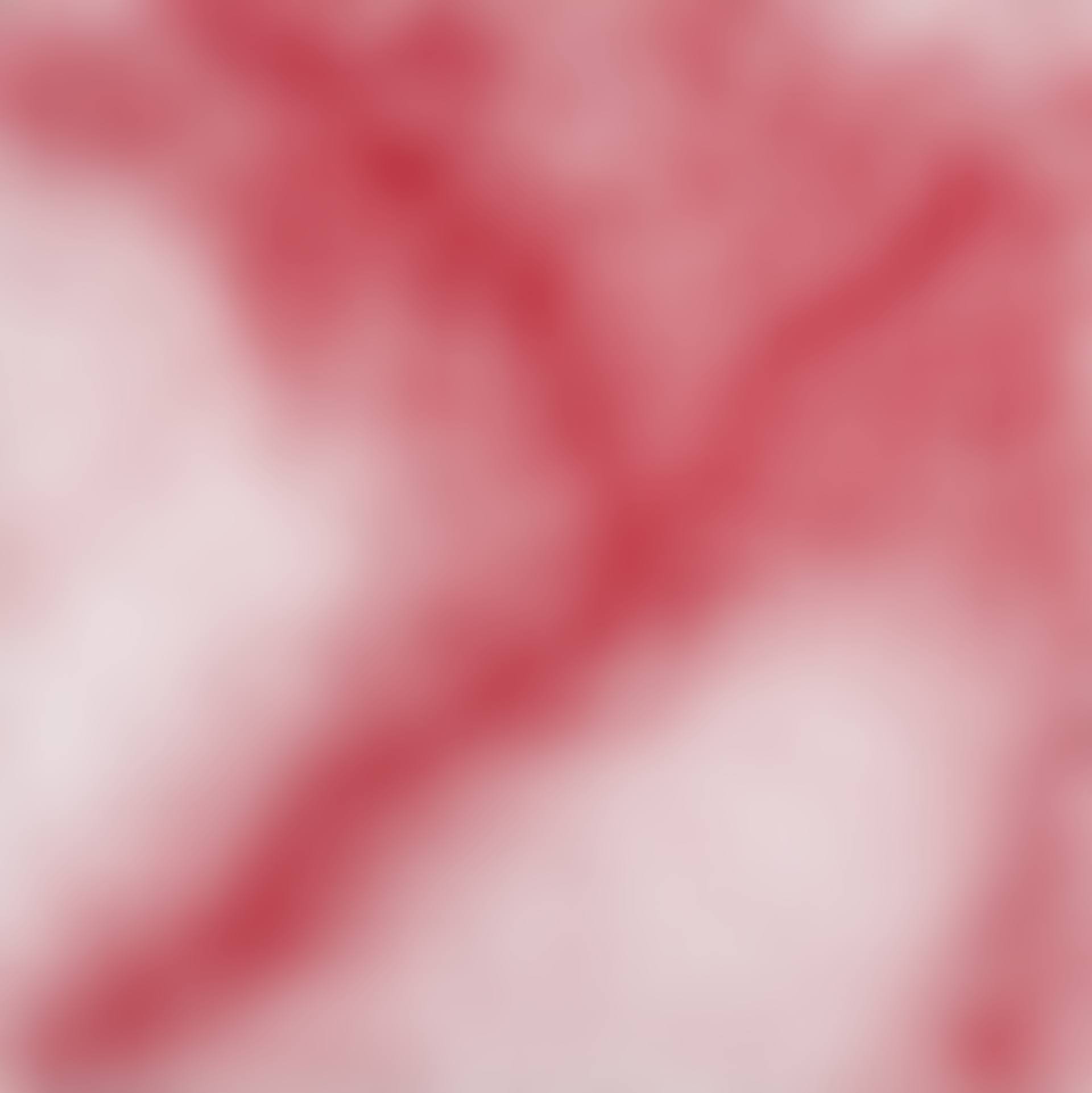 Endless Line (preview)