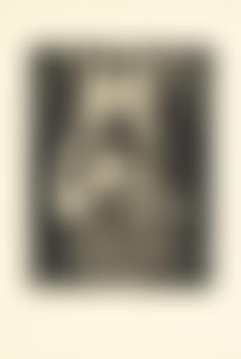 ”Rote Mutter, schwarzes Kind” (preview)