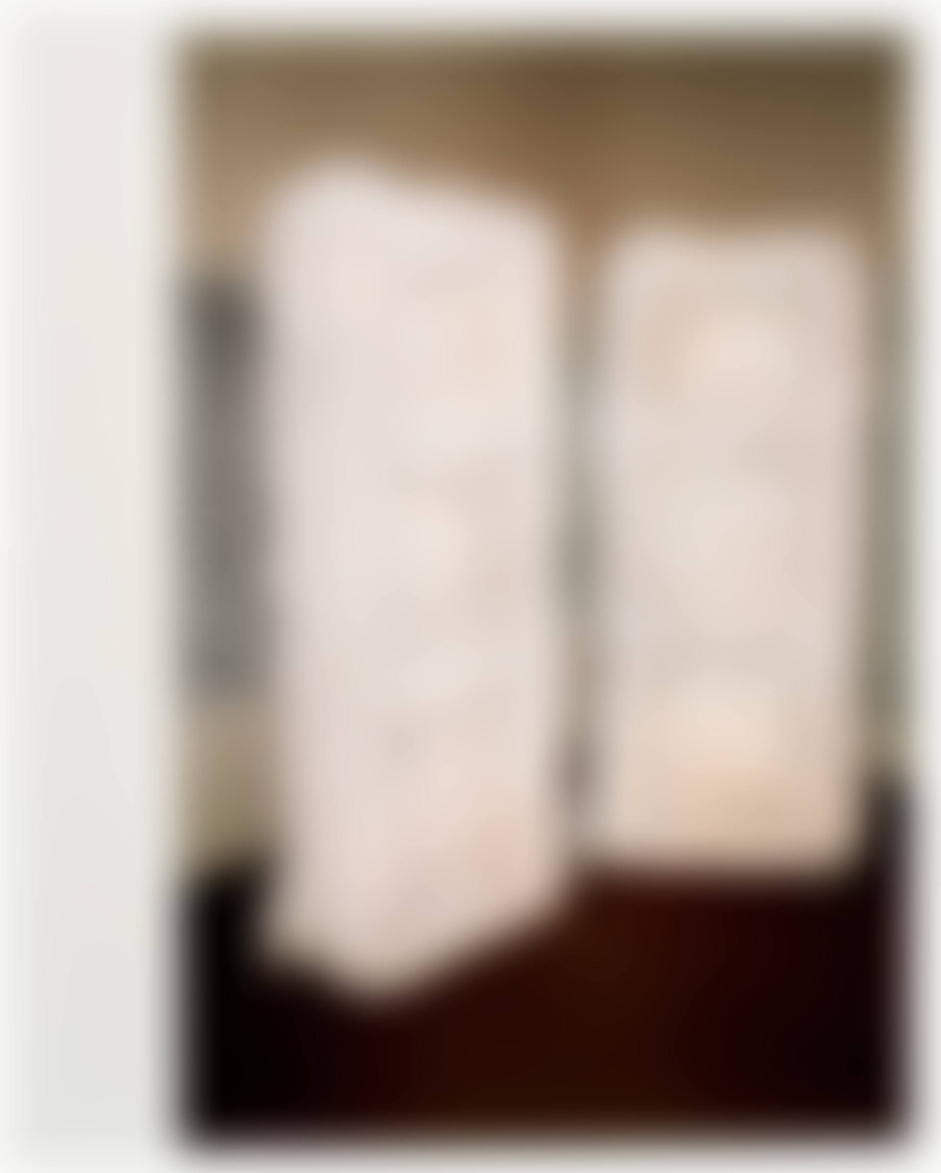 Bookshelf Without Books (preview)