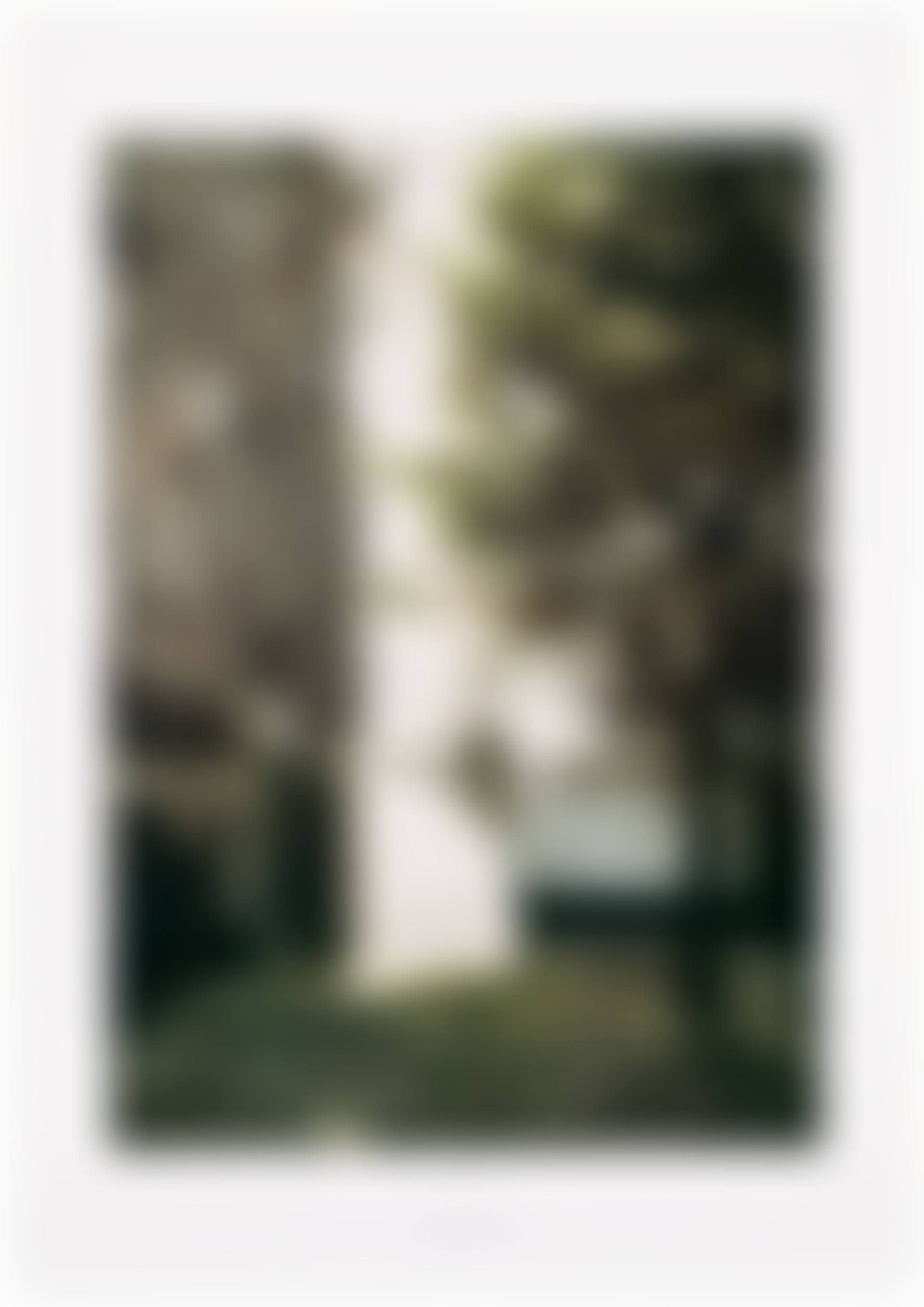 Domecke II (Cathedral Corner II) (see B. 98) (preview)