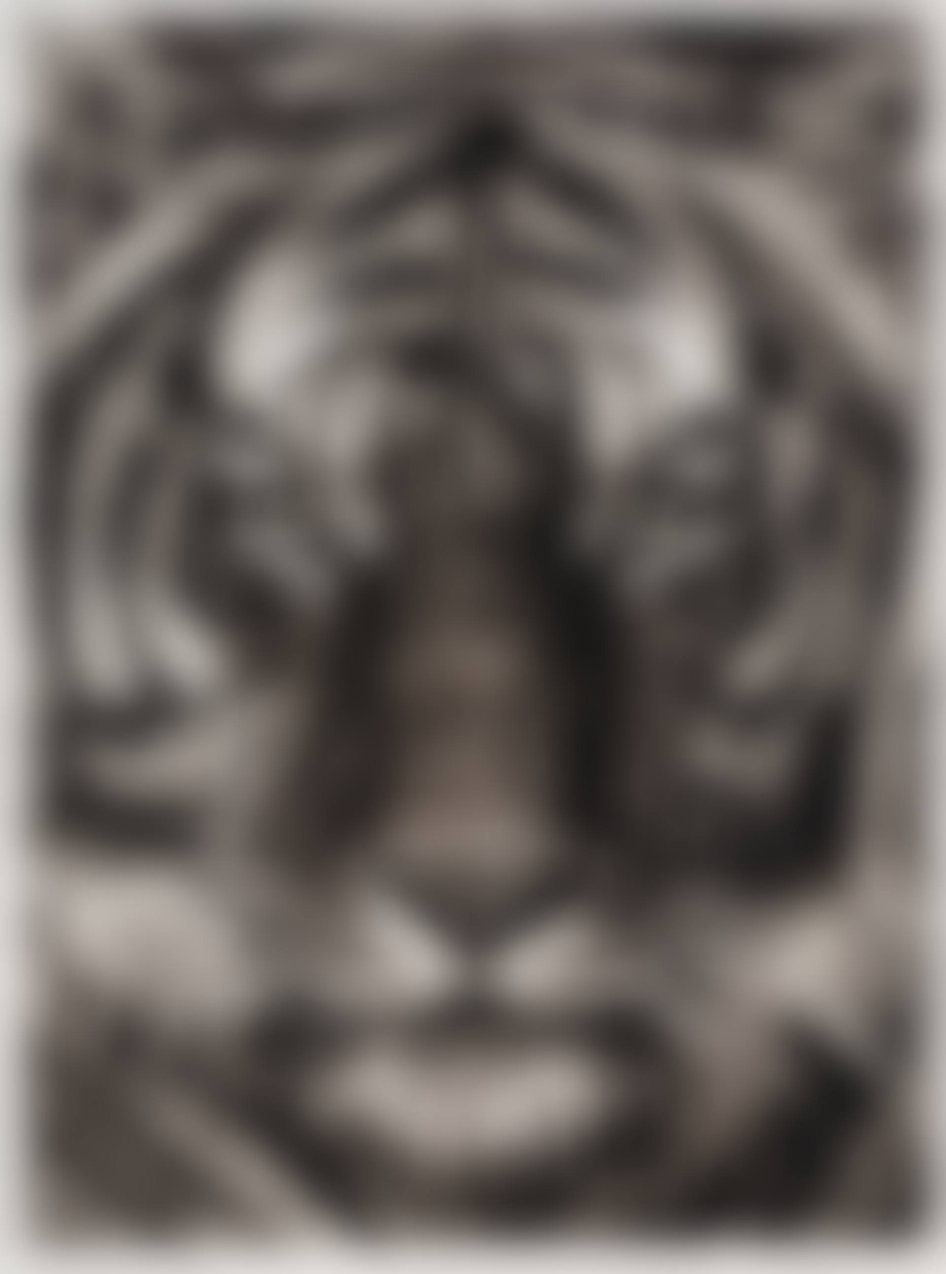 Study of Last Tiger (preview)