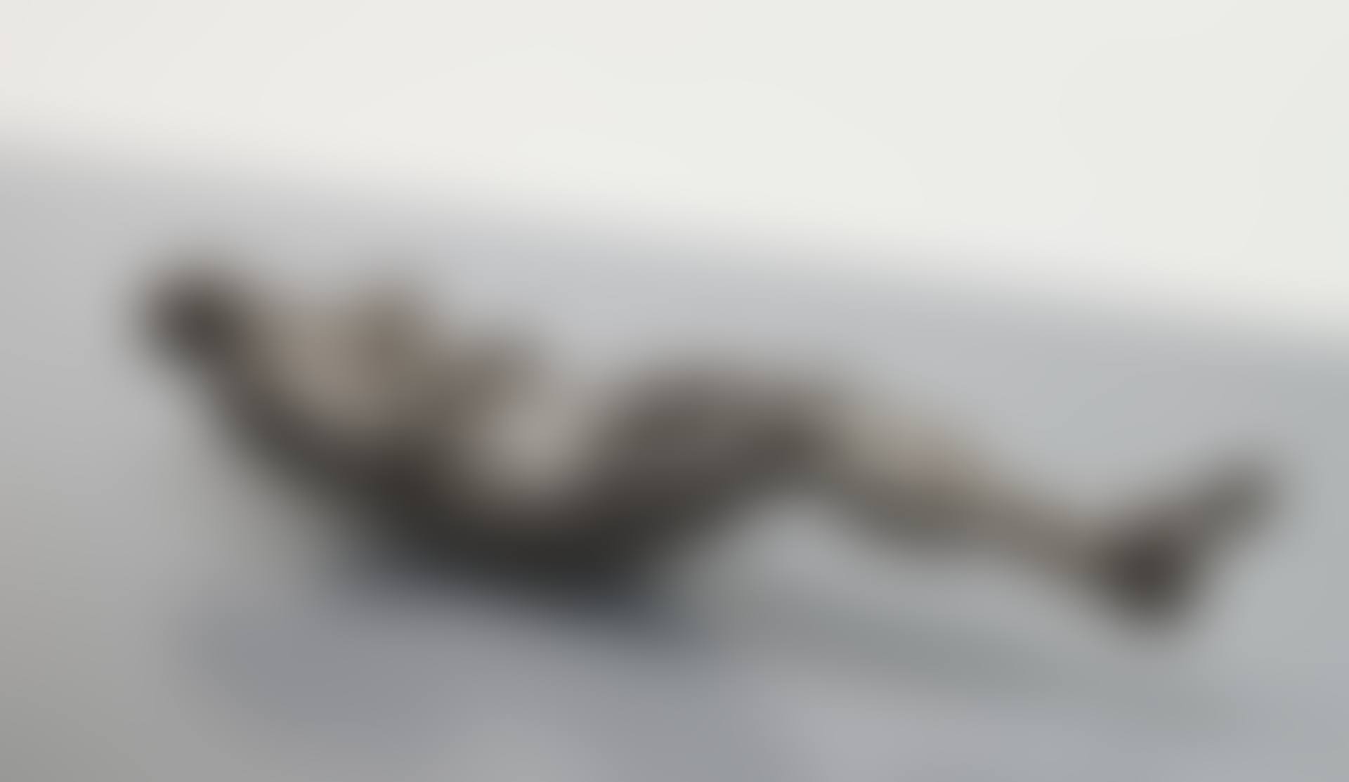 FIX II (preview)