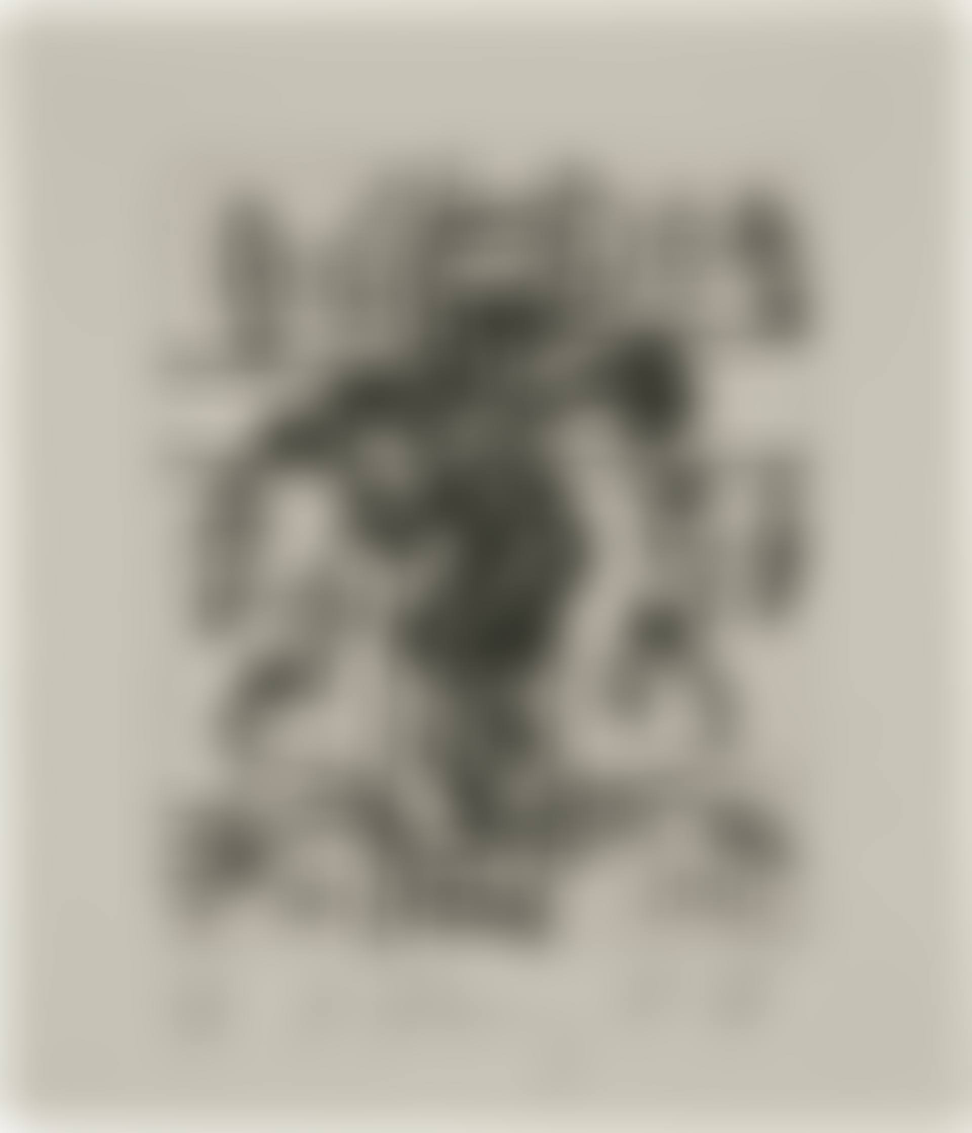 Untitled (L. p. 112) (preview)
