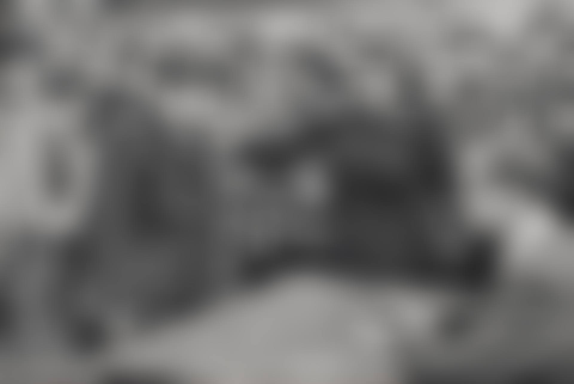 Gestapo Informer, Deportation Camp, Dessau, Germany (preview)