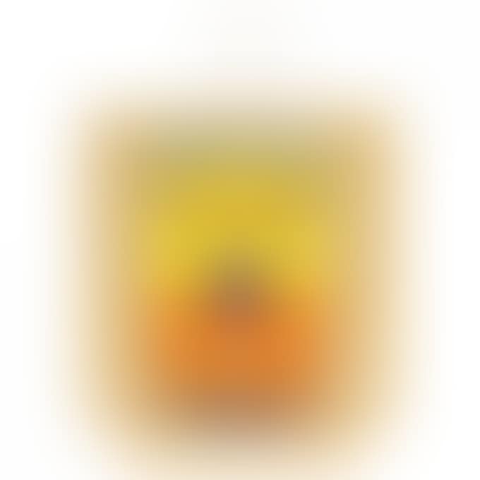 CAMPBELL"S SOUP CANS-TOMATO SOUP (preview)