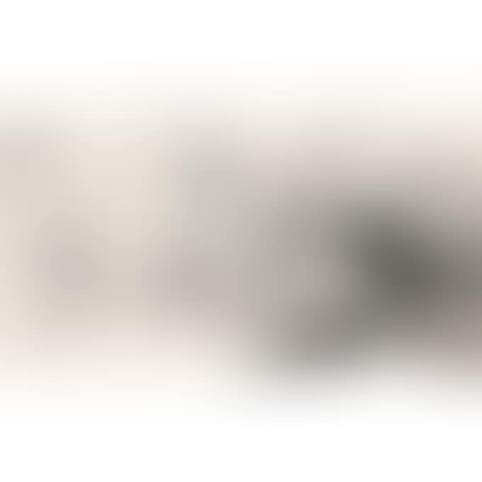 FISH (preview)