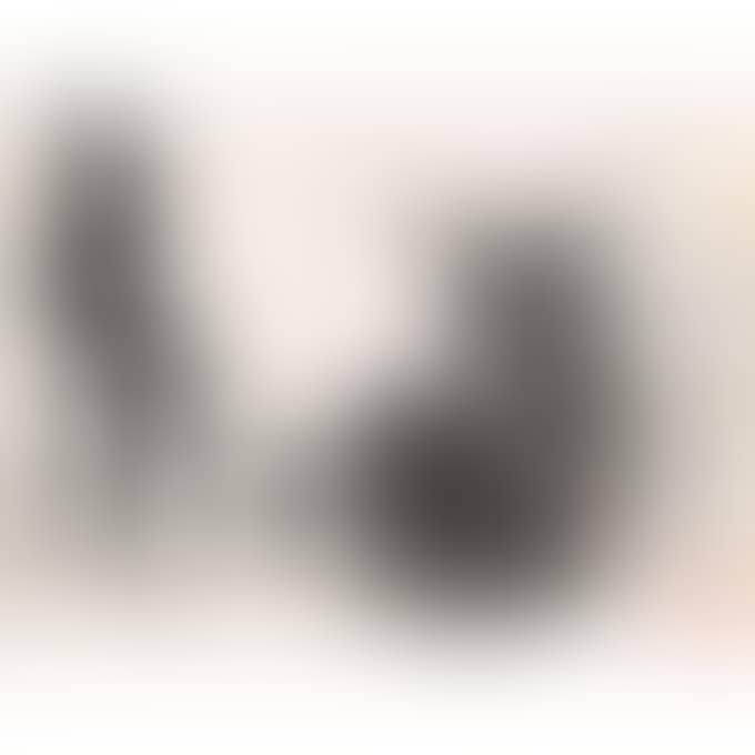DONKEYS (preview)