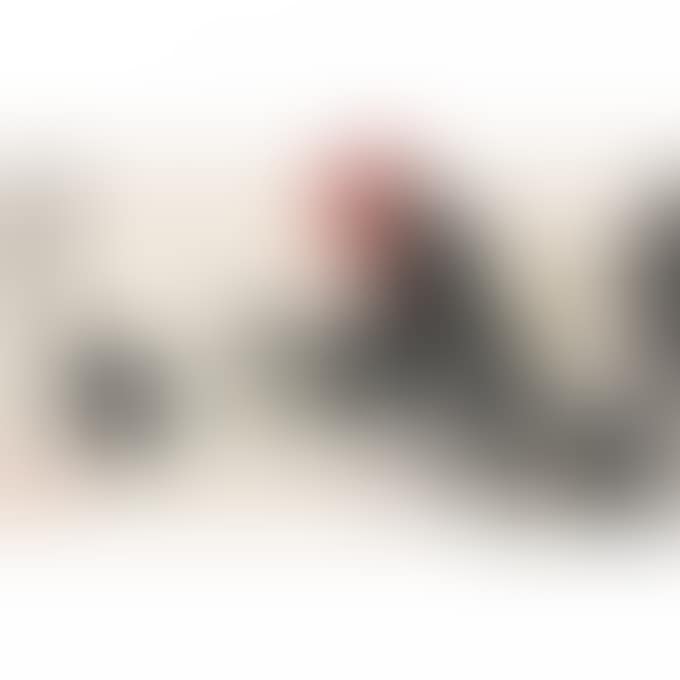 CHICKENS (preview)