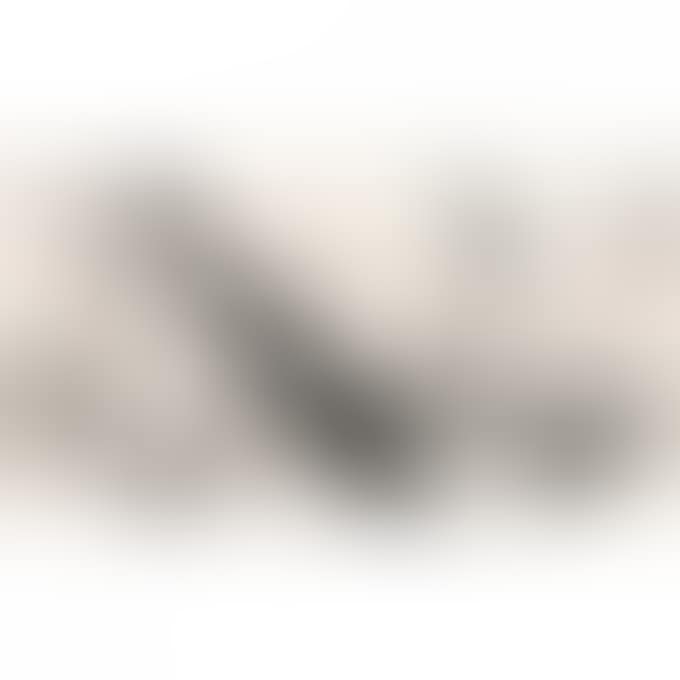 GOOSE (preview)