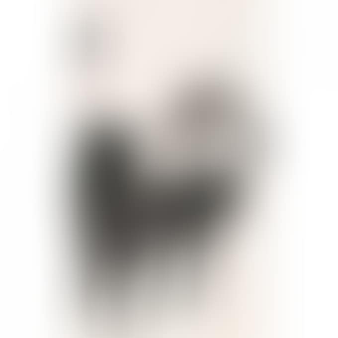 DOGS (preview)