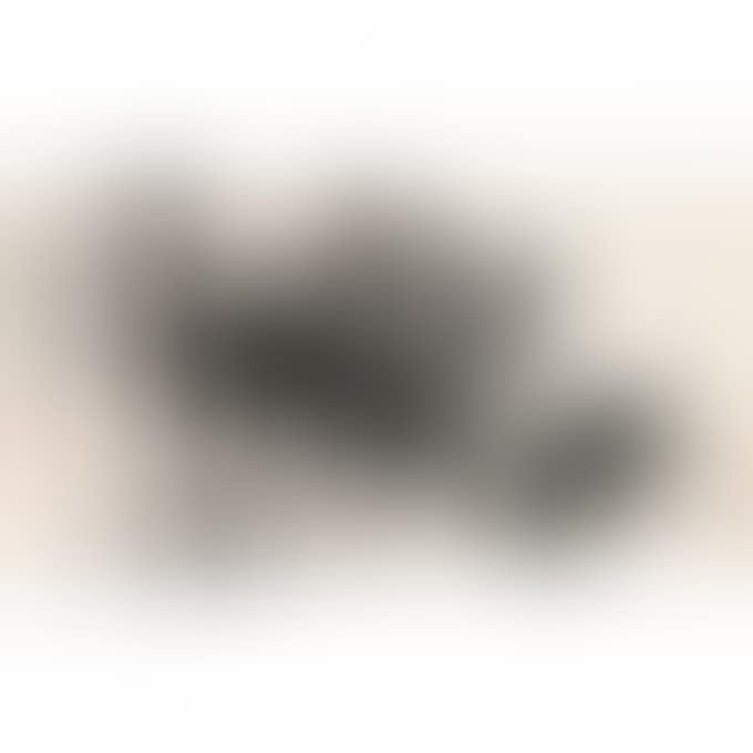 CAMEL AND DOG (preview)