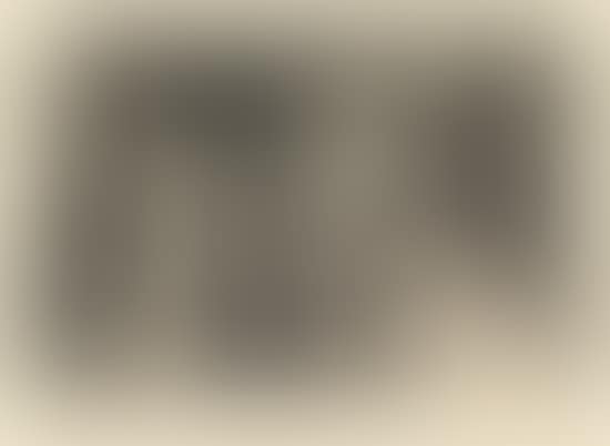 Vicke (preview)