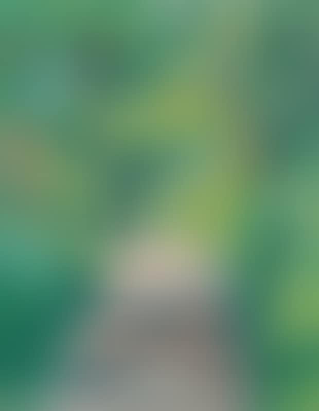 “Bækkestien” (preview)