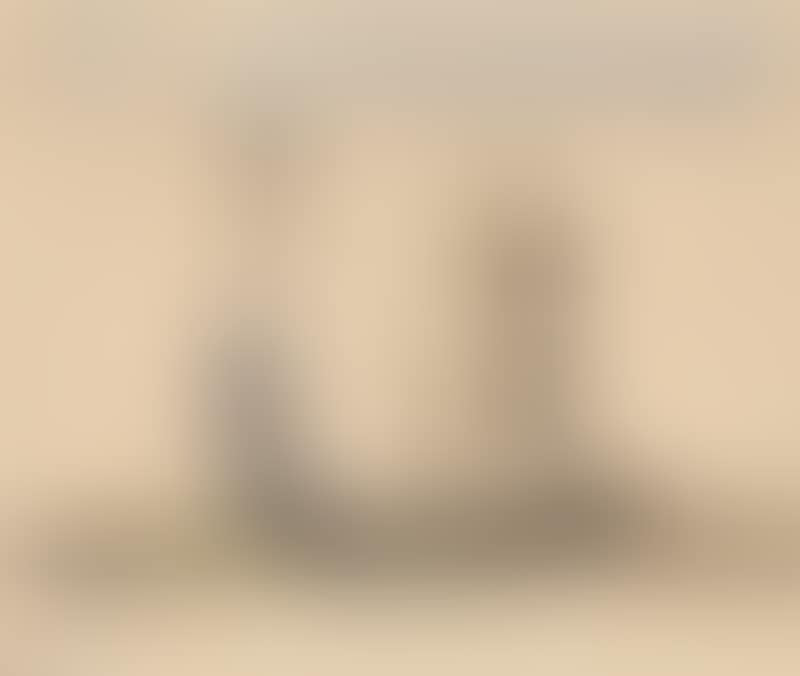 Figure composition (preview)